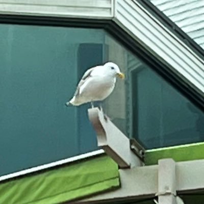 hhhhuhhhhhhwhy's profile picture. 