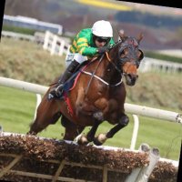 James bowen (@gaalord8) 's Twitter Profile Photo James bowen (@gaalord8) 's Twitter Profile Photo