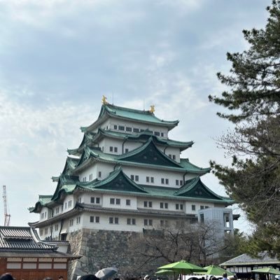 re_ds0221_o's profile picture. 趣味: 統計学の勉強