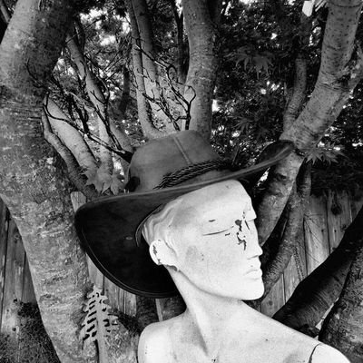 antlertape's profile picture. new wave