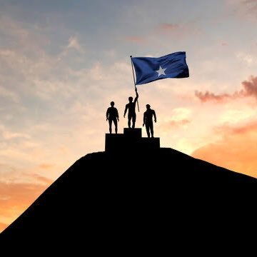 Osmanali1031463's profile picture. 