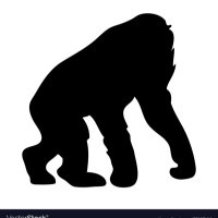 Saint Norbert (@fiififiifi2) 's Twitter Profile Photo