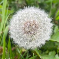 Cerys (@cerys361485) 's Twitter Profile