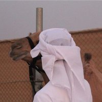 كحيلان (@hh_aa713) 's Twitter Profile