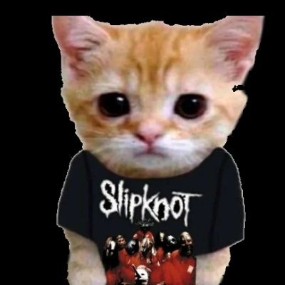 just a feline rock n roll fan

Telegram: https://t.co/JhgE5Zsv7M