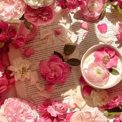 JadeVaessen's profile picture. 