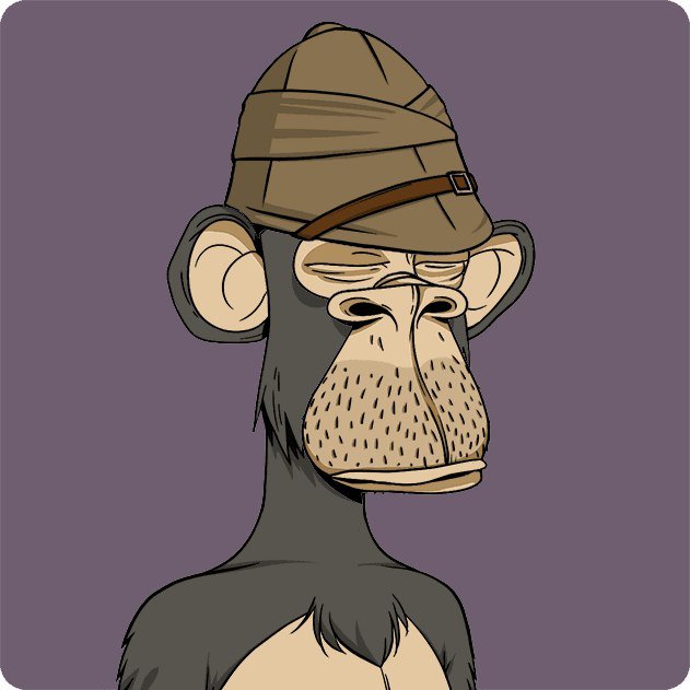 ChipIn_zk's profile picture. BAYC #7599 Your friendly neighborhood reply guy, making Twitter interesting one tweet at a time. 🌆✌️