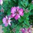 Bu1v6Jc96f80375