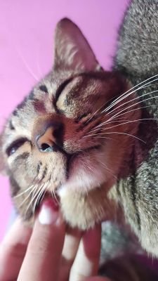 makecoin543746's profile picture. 