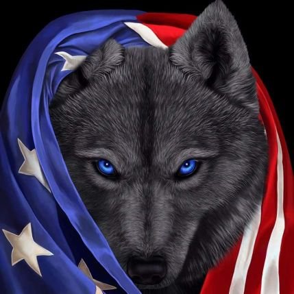 Joelfern1123's profile picture. Conservative ✝️, pro-trump.
Boomer 100%, pro gun 🔫 👌🏽 😎 💪