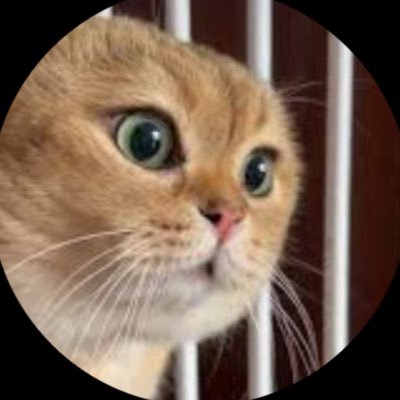 DigZai's profile picture. buy bozai 🐈