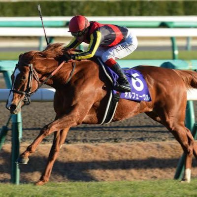 YK5299093925739's profile picture. 競馬🏇ラーメン🍜酒🍺マラソン🏃筋トレ🏋️ラグビー🏉で健康生活❗️