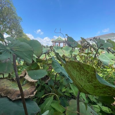 truongmai1996st's profile picture. 