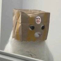 แง๊ววววววว (๑•ัᴗ•ั๑) (@meowmeowkm) 's Twitter Profile Photo แง๊ววววววว (๑•ัᴗ•ั๑) (@meowmeowkm) 's Twitter Profile Photo