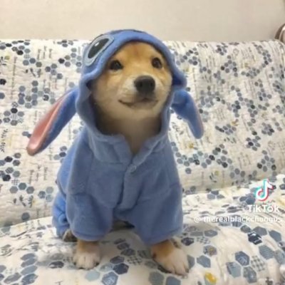 SomethingSaki's profile picture. twitter is dead lol
