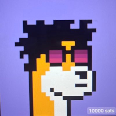 erik76956's profile picture. Satoshi Hunter / Bitcoin Evangelist / Runes Addicted / T.R.U.M.P one of us 👺