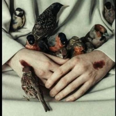 _rindane's profile picture. Etten ve kemikten kıyafet, Allah'ım affet..