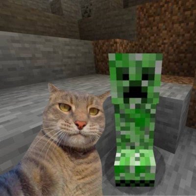 Yeeet64047's profile picture. 
