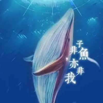 tilamis52316071's profile picture. 