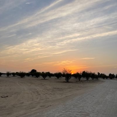 jtb50031's profile picture. 