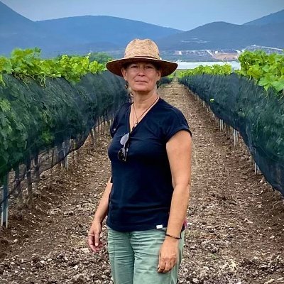 Mexophile, oenophile, foodie. Not necessarily in that order.