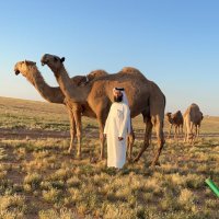KHAMES_AL FUTAIS (@khames_h_f) 's Twitter Profile