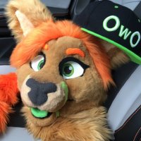 Queer Deer @ FWA(@AyalaDeer) 's Twitter Profile Photo