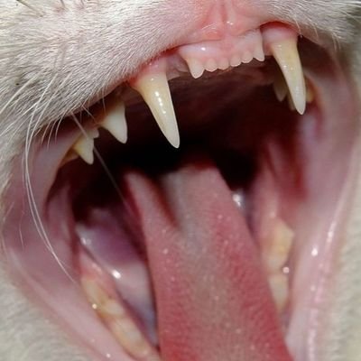 luckellison's profile picture. i'll try to be a little luckier this time guys my fault ,, 19 ,,

my love, my bestfriend, the audiophile: @a1isynn