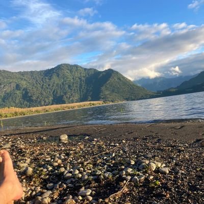 RenAnglsL's profile picture. recuperemos la tierra