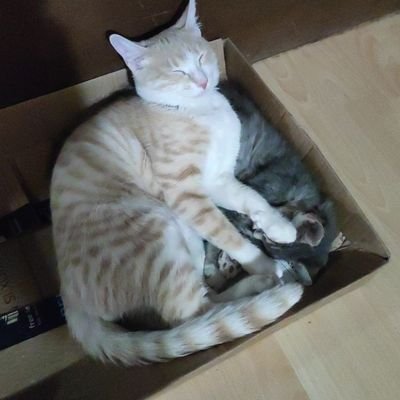 ava581's profile picture. 