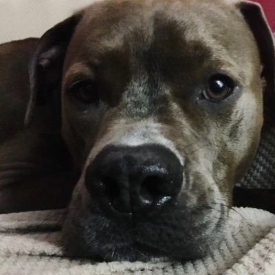 1Slik_mic's profile picture. 