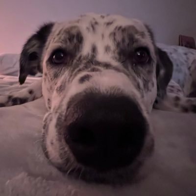 MamaJill888's profile picture. Mom, Missus, CEO