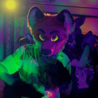 Raimon (@zitronenfuchs) 's Twitter Profile