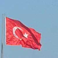 Mimar Sinan (@mimarsinan4245) 's Twitter Profile