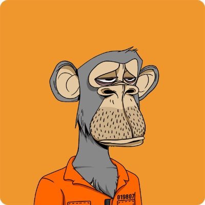 Web 3 Developer, I Love Degen Play! Always Up for Adventure, , Turning laughs into moonshots—living the meme coin dream. 🚀🤝