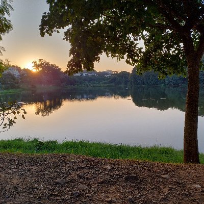 Ruyter_Rocha's profile picture. Biólogo♥️
Amor a Natureza e os Animais,e a tudo que há ela convém...