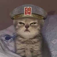 Meow (@meowzedongcoin) 's Twitter Profile Photo Meow (@meowzedongcoin) 's Twitter Profile Photo
