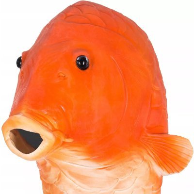 dylong197's profile picture. 