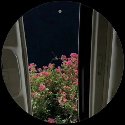 Rii_7s's profile picture. 