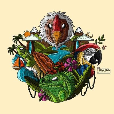 HinchaEcuator1's profile picture. 100% Deporte
⚽, 🏀, 🚴, 🏋️, 🏃 , 🎾, 🥋, 🥊, 🏓