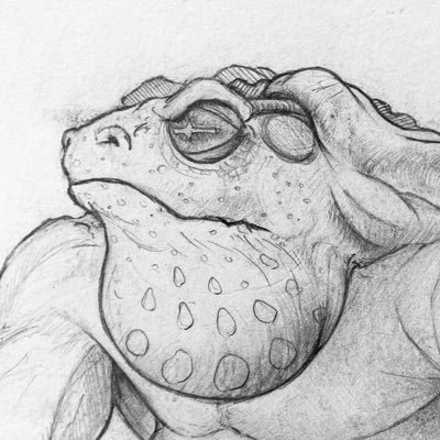 Utoadia's profile picture. Concept Art for a Toad Utopia,
Open world RPG video game.
A behind the scenes journey! 🐸