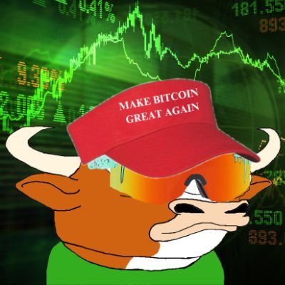 Chief Meme Officer.
Bitcoin Bull.
Trader & Investor.