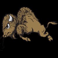 #SkoBuffs in Iowa (@cufan97) 's Twitter Profile