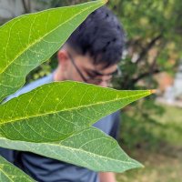 VArENDrA (@varendra_c) 's Twitter Profile Photo