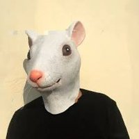 kendiniasmayanfare (@whiskylem) 's Twitter Profile