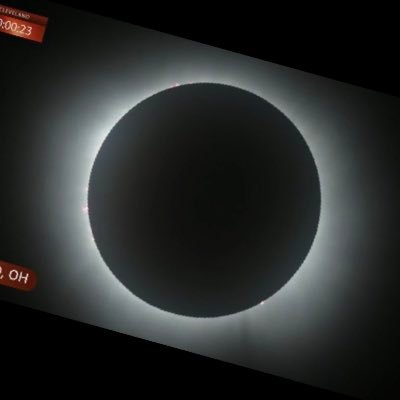 sainniss's profile picture. 