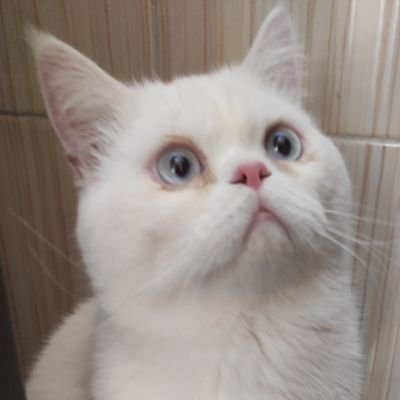 MilaDDD93's profile picture. on the go