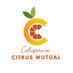 California Citrus Mutual (@CaCitrusMutual) Twitter profile photo