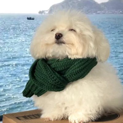 kiranaanindiya's profile picture. 