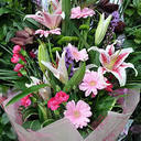 Sheena Rowe - @EleganceInKent - Twitter